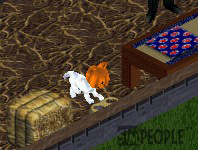 �v�X�̃u�����J�o��