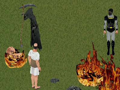 ���܂ꂽ�Ẵq�i�̂悤�ȗ��̏Ď���