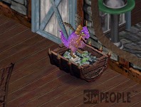 ���r�����X�A�������Ȃ��c